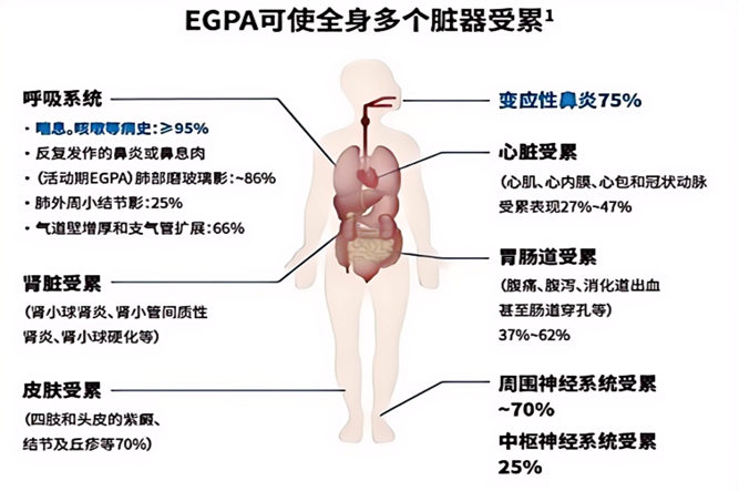 微信截圖_20241024112744(1)_副本.png